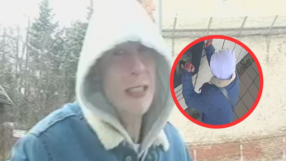 Policja szuka wandala