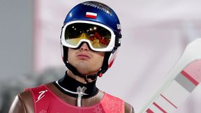 Kot rozczarowany sobotnim konkursem. "Nie po to człowiek wypruwa żyły"