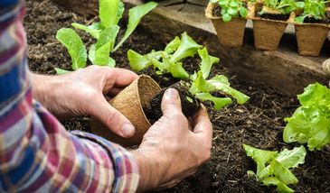 Załóż kompostownik w ogrodzie. Wiosna to najlepszy czas