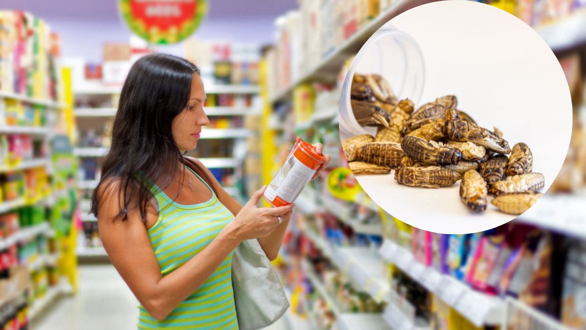 Mąka ze świerszczy