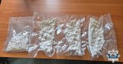 Narkotyki w lodówce zabezpieczone przez policjantów