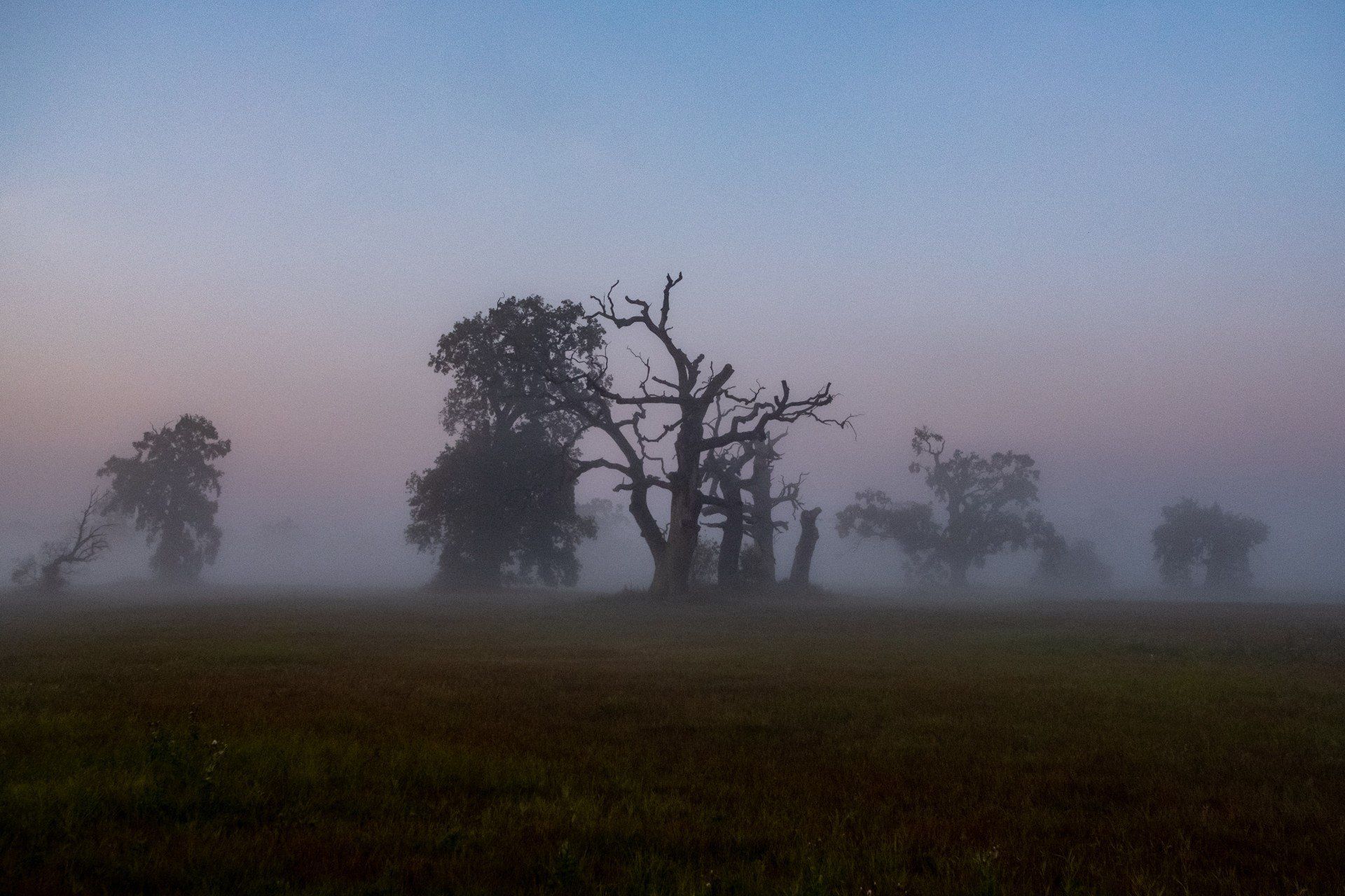 Rezerwat &#34;Bagno Chorzemińskie&#34;
