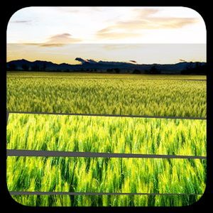 Weekendowy Zestaw Gier i Aplikacji: Godzilla, Bright Weather i Edge of Tomorrow 6