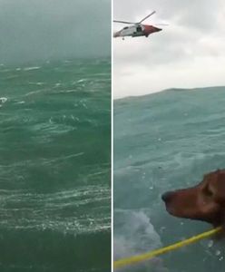 Utknął z psem na ocenie podczas sztormu. Moment akcji ratunkowej