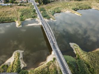 Promyk nadziei po katastrofie. W Odrze wykryto żywe ryby