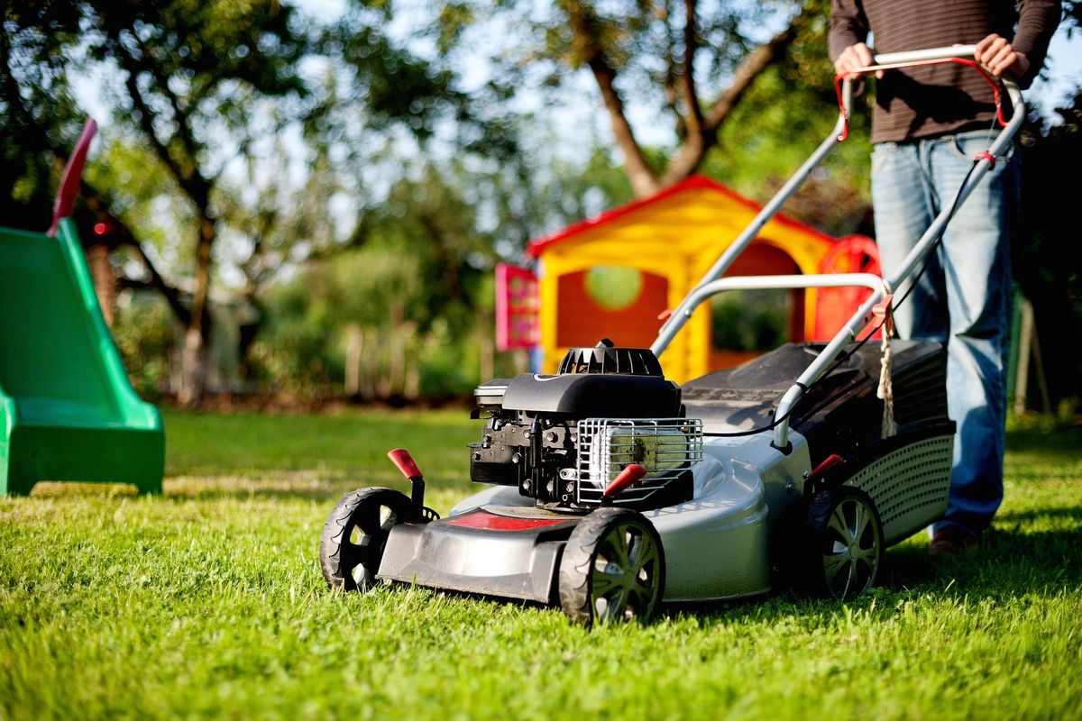 Wiosenne porządki w ogrodzie - jakie maszyny i narzędzia są niezbędne? | Media Expert