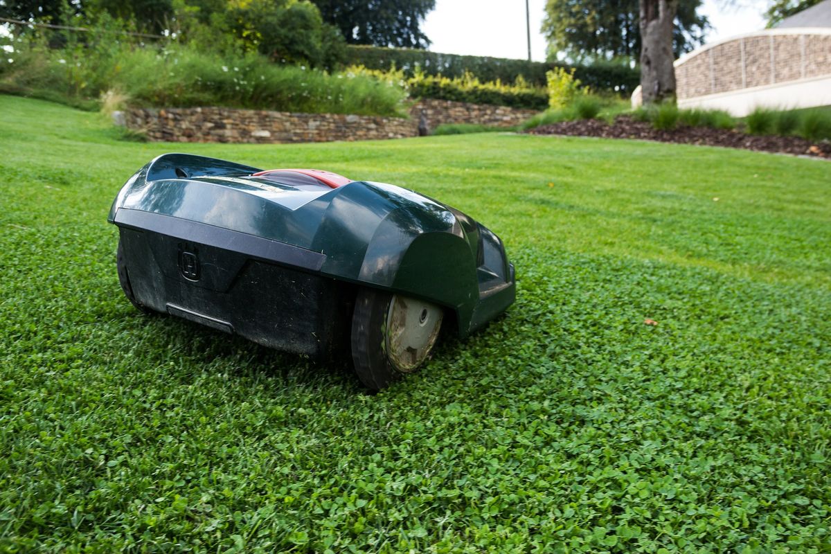 Robot koszący pozwoli rzadziej kosić trawnik