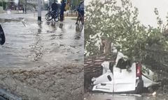 Burza szalała we Wrocławiu. Powalone drzewa, zalane ulice