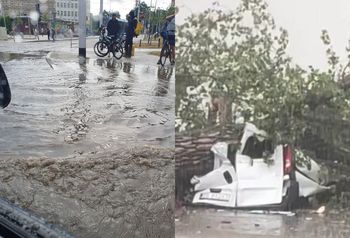 Burza szalała we Wrocławiu. Powalone drzewa, zalane ulice