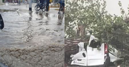Burza szalała we Wrocławiu. Powalone drzewa, zalane ulice