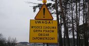 Międzyrzec Podlaski: Ta choroba zaatakowała już setki tysięcy zwierząt