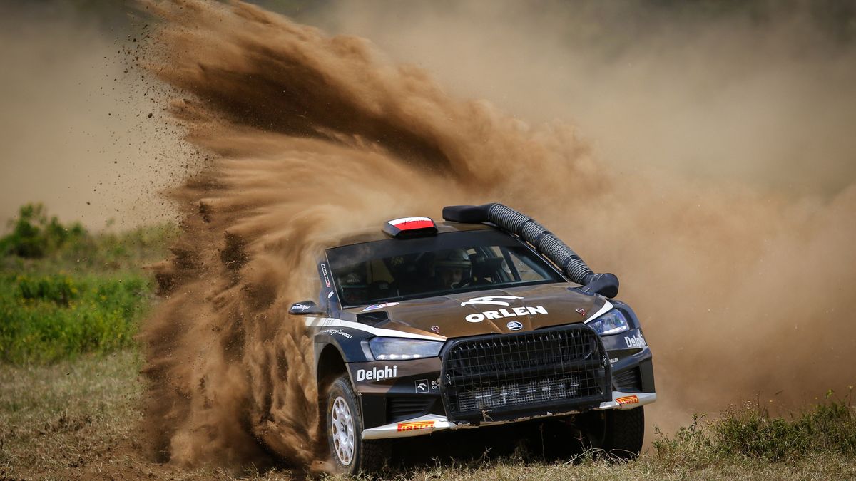 Materiały prasowe / kajto.pl / Na zdjęciu: Kajetan Kajetanowicz