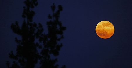 Truskawkowa pełnia Księżyca. Zjawisko widoczne w piątek, 5 czerwca