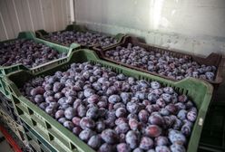 Zostawili go z problemem na 36 tys. zł. Poszkodowanych może być więcej