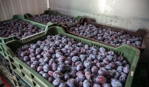 Zostawili go z problemem na 36 tys. zł. Poszkodowanych może być więcej