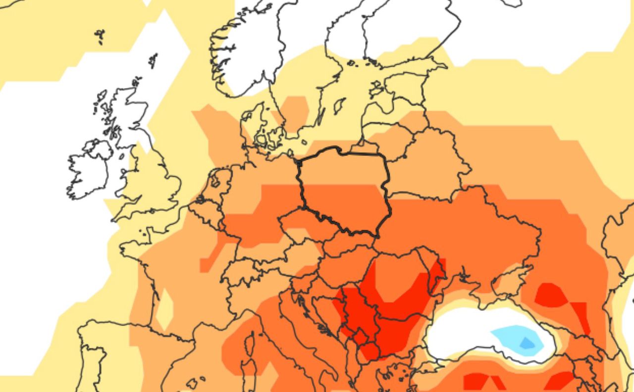 Pogoda na Wszystkich Świętych. Prognoza na listopad 2023. Miesięczna anomalia temperatury przewyższy normy