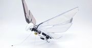 Bioniczny dron MetaFly. Niesamowita maszyna, która lata jak nietoperz