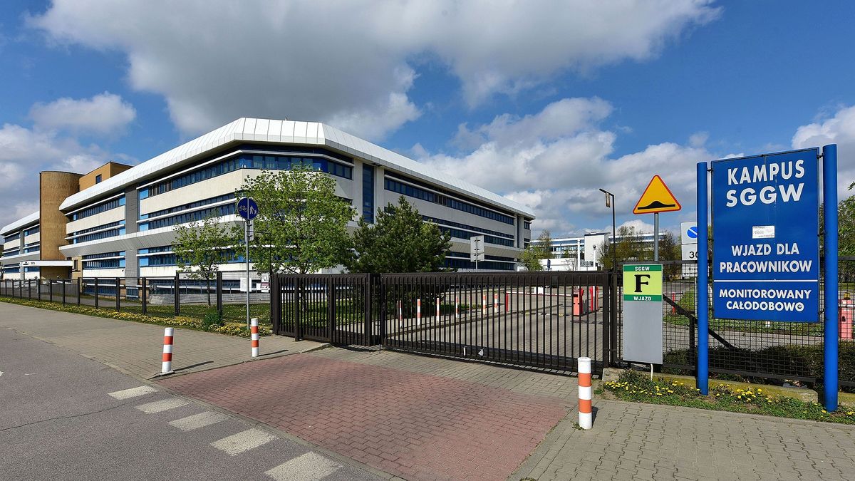 Naukowcy z SGGW stworzyli nowy, lepszy suszony miód 