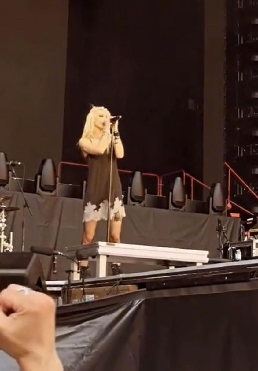 Taylor Momsen została ugryziona przez nietoperza w trakcie koncertu