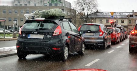 Jak przewieźć choinkę i uniknąć mandatu? Policja podaje zasadę