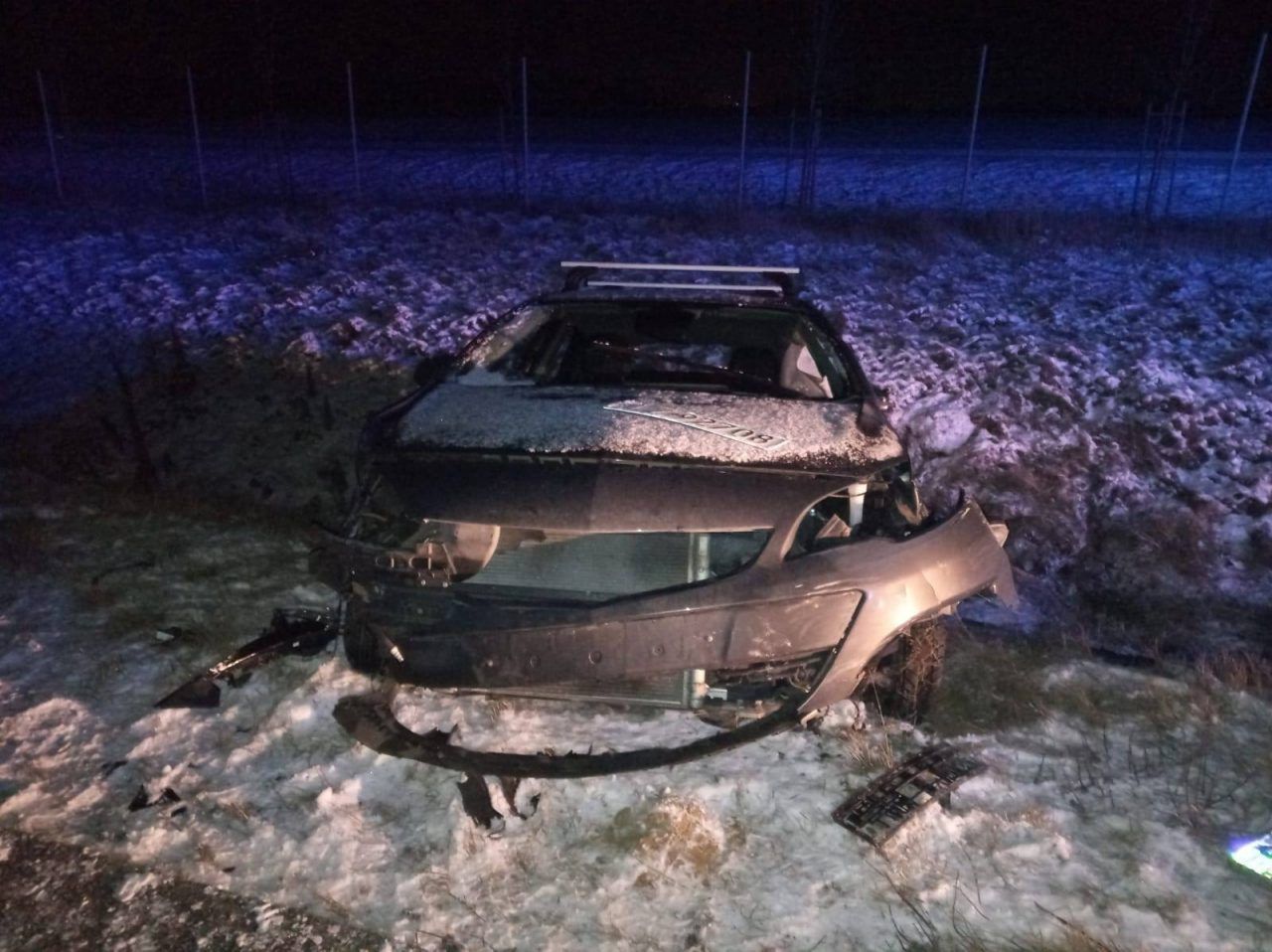 Takiego zwierza na drodze nikt się nie spodziewał. 18-latka w szpitalu