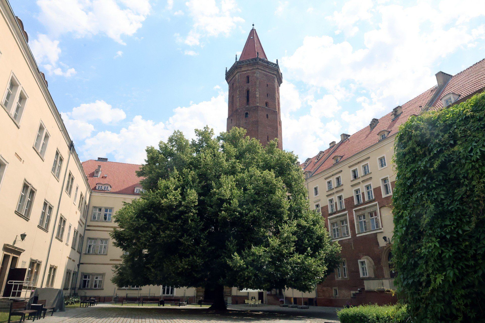 Wirtualna Polska