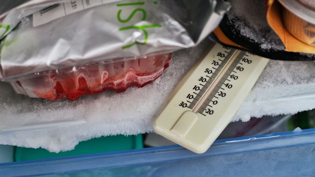 Freezer Temperature
Thermometer used to measure the air temperature inside a fridge freezer.
photocritical
Seafood, Meat, Pre-Packaged Food, Frozen Food, Appliance, Cold, Temperature, Laboratory Equipment, Retail Equipment, Industrial Equipment, Household Equipment, Snack, Food State, Ingredient, Mini Bar, Refrigerated Shelves, Freezer, Thermometer, Refrigerator, Electrical Equipment, Food, Groceries, low temperature, Instrument of Measurement, Equipment, Food And Drink Industry, Food Service Occupation, Commercial Kitchen, Domestic Kitchen, Raw, Protection