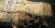 Archeolodzy zbadali dwie zaginione wśród zbiorów mumie. Nie należały do ludzi