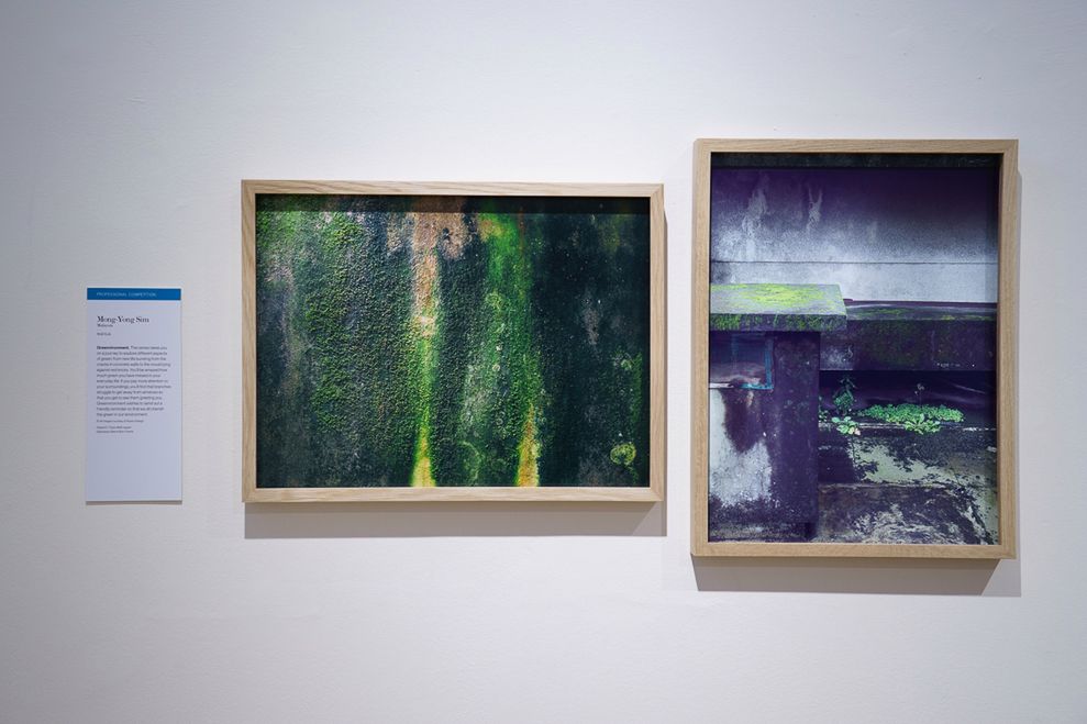 Sony World Photography Awards 2015 - fotorelacja z wystawy w Somerset House w Londynie 23