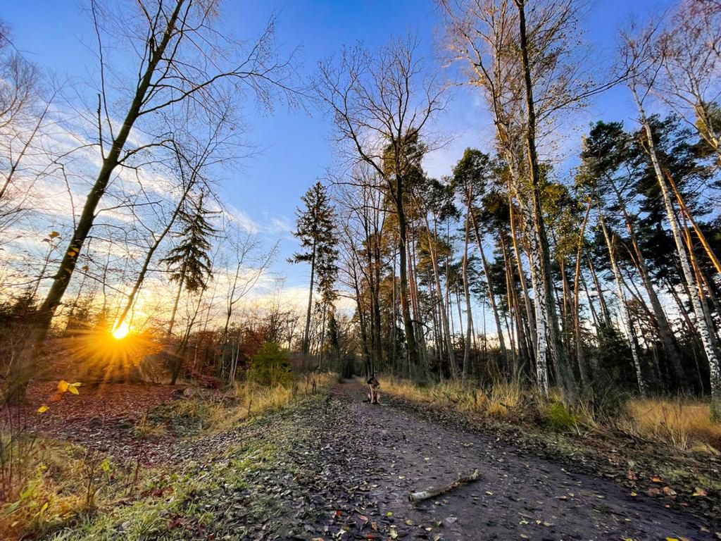 Pogoda. Wrocław. 22 marca 2021 - będzie tylko lepiej. Od czwartku gwałtowna zmiana i ocieplenie