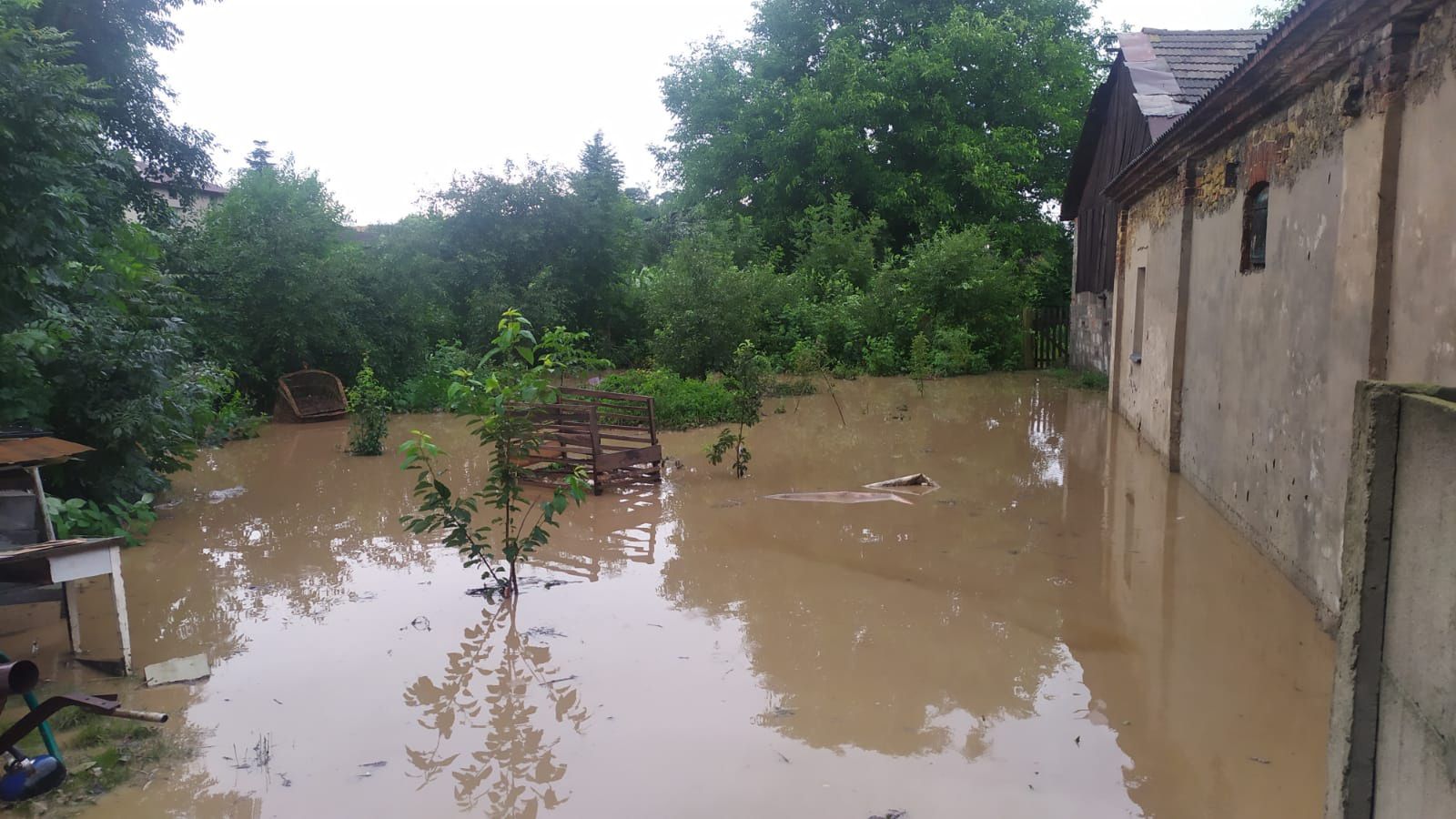 Widok po nawalnym deszczu w Grójcu. Posesja pana Michała