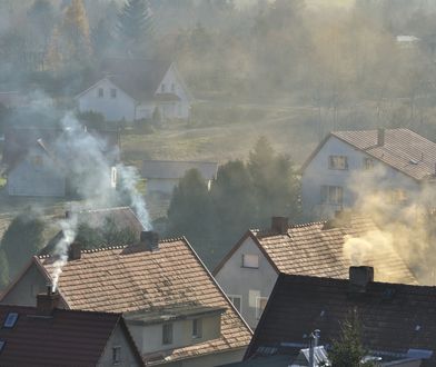 Nowy obowiązek dla kilku milionów Polaków. Jeśli się nie zgłosisz, zapłacisz karę