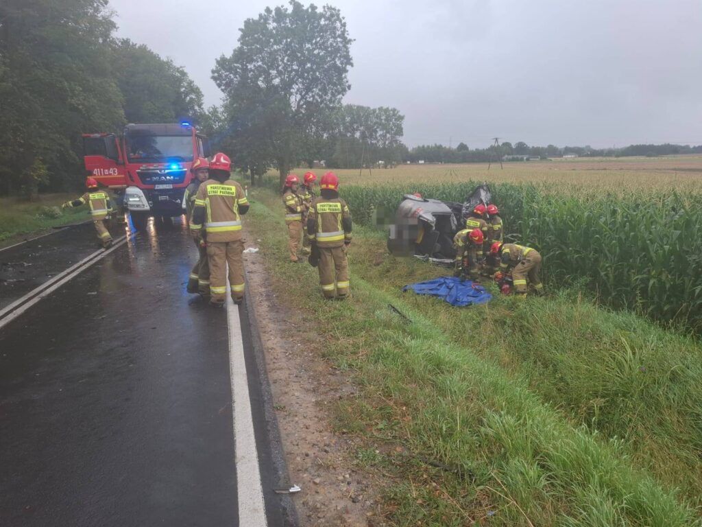 Grupa strażaków w mundurach pracuje przy przewróconym pojeździe na drodze, obok pola kukurydzy w deszczowej pogodzie.