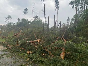 Ponad 100 interwencji strażackich w powiecie jasielskim po nawałnicach