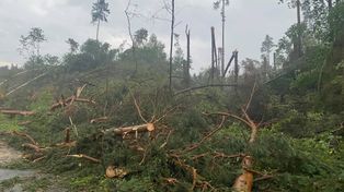 Ponad 100 interwencji strażackich w powiecie jasielskim po nawałnicach