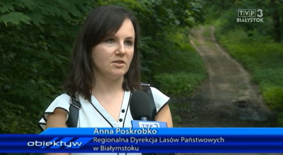 Materiał TVP stał się hitem sieci