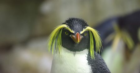 Linux i gry: gdzie szukać rozrywki, by nie było tęskno do Windowsa