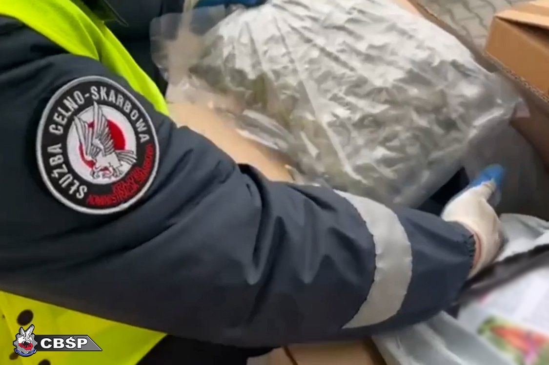CBŚP rozbiło gangi zajmujące się międzynarodowym handlem narkotykami. Zarzuty dla ponad 170 osób