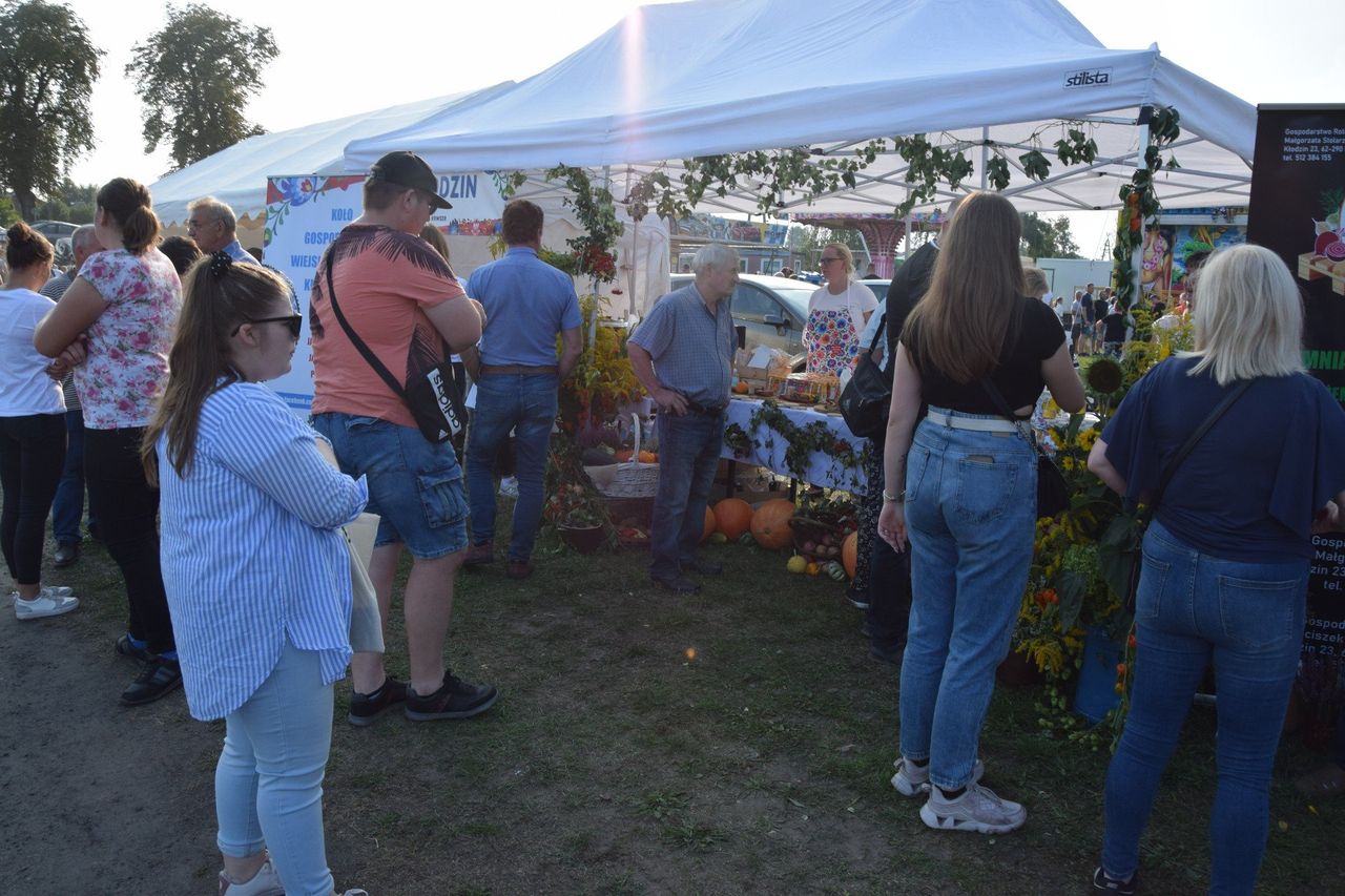 Mieścisko: 46. Targi Michałowskie już w ten weekend