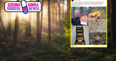 To nie żart. Wynoszą pełne kosze. "Kilka tysięcy"