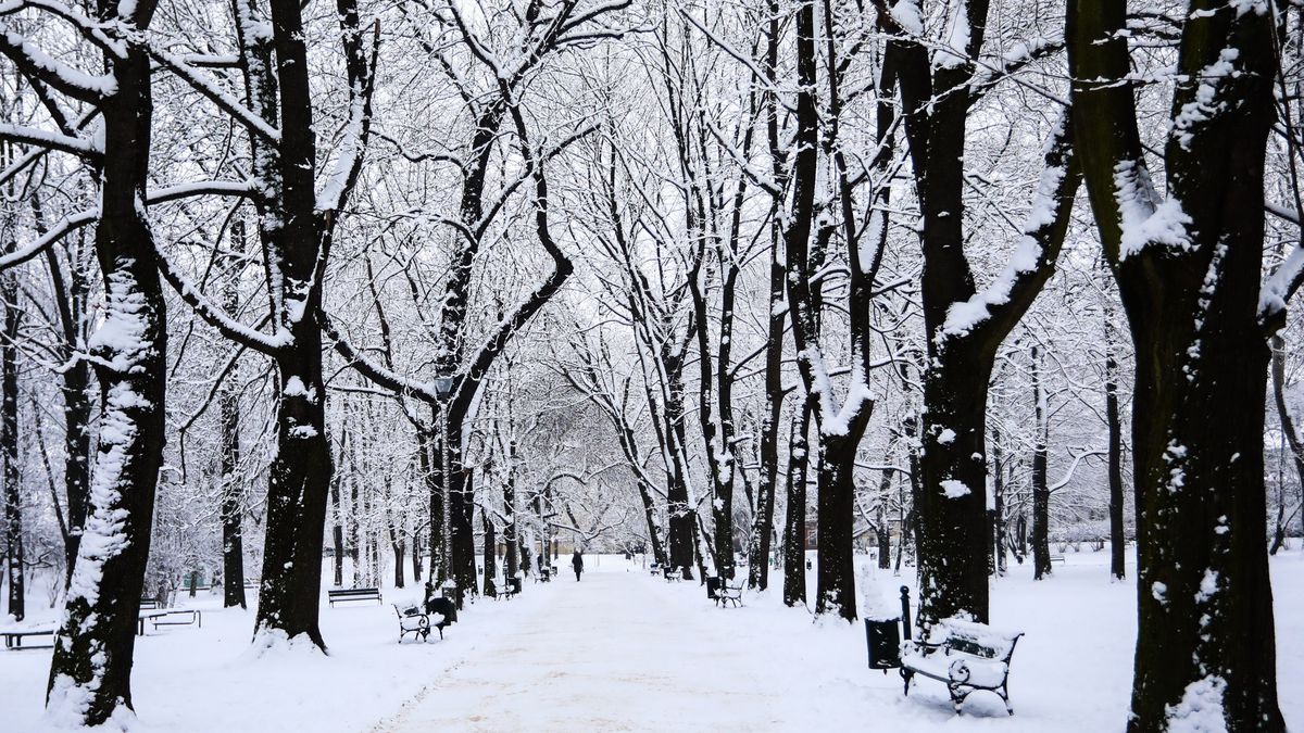 34-latek obnażył się przed 10-latką w jednym z krakowskich parków (zdj. poglądowe)