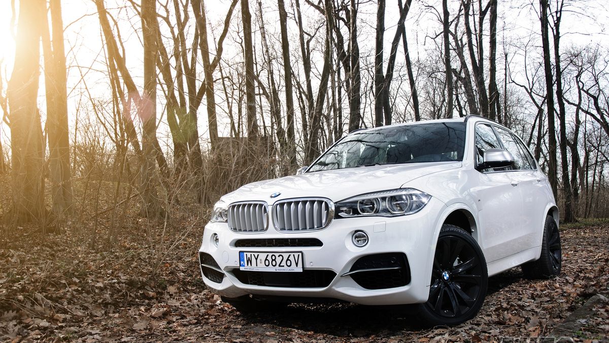 Zdjęcie ilustracyjne do artykułu