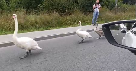 Nagrali, co się stało w Gdańsku. Kierowcy nie mieli pojęcia