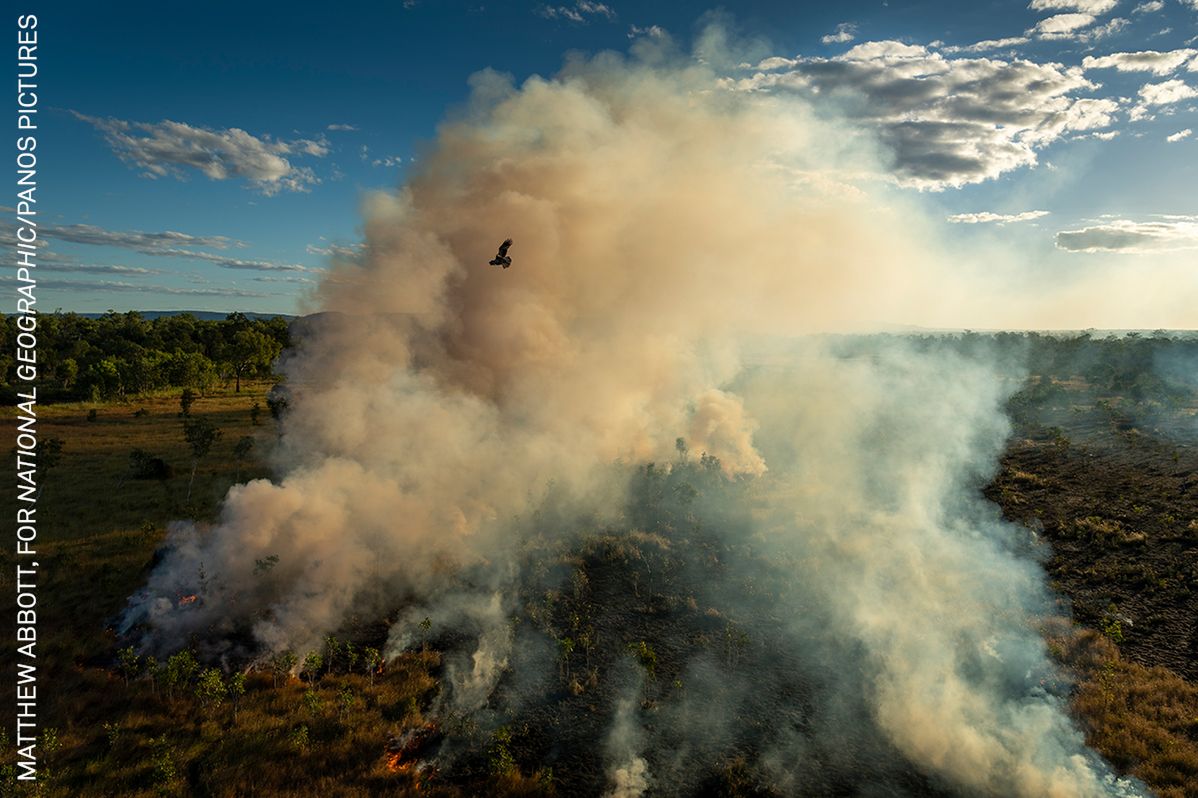 World Press Photo 2022: Poznaj najlepszych fotografów różnych kontynentów 125