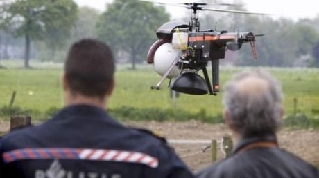 Helikopter "wywąchał" plantację marihuany 1