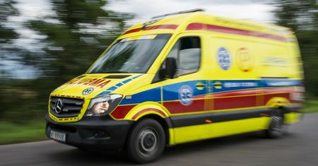 8-letnie dziecko pogryzione przez psa. Trafiło do szpitala