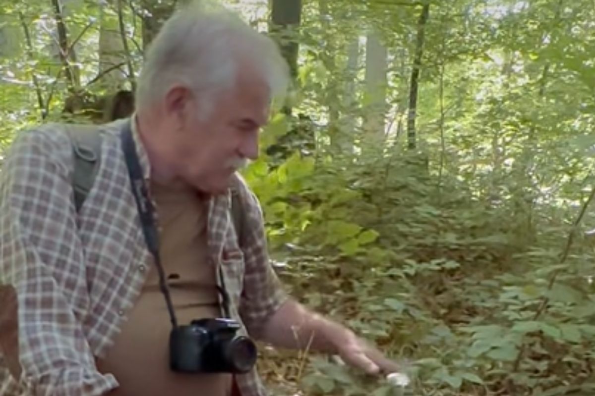 "Takie cudo". Słynny leśnik pokazał, co znalazł w Bieszczadach