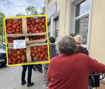 Sprzedają truskawki po 10 zł/kg. Po 50 minutach wykupili wszystkie łubianki