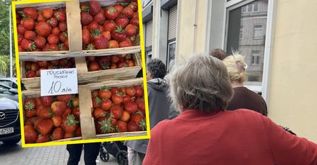 Sprzedają truskawki po 10 zł/kg. Po 50 minutach wykupili wszystkie łubianki