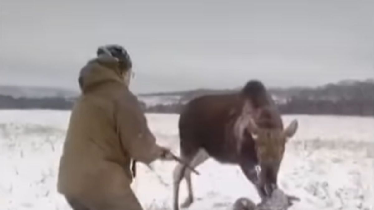 Nagranie z polowania Rosji